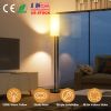 Floor Lamp with Foot Switch, 74.8" Tall, White Shade, Black Iron