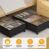 Under Bed Storage Container With Wheels, Clear Lid, 2 Pack, Black
