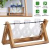 Desktop Glass Hydroponic Planter Bulb Terrarium with Wooden Stand