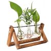 Desktop Glass Hydroponic Planter Bulb Terrarium with Wooden Stand