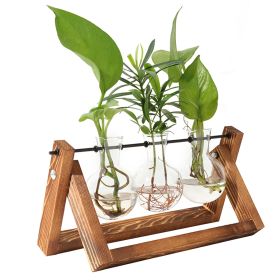 Desktop Glass Hydroponic Planter Bulb Terrarium with Wooden Stand