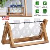 Desktop Glass Hydroponic Planter Bulb Terrarium with Wooden Stand