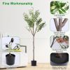 Potted Artificial Olive Tree with Lush Branches & Fruit, Black Pot, 5.9 Ft.