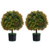 Artificial Boxwood Topiary Ball Tree with Orange Fruit, 6" x 6" x 5", Set of 2