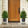 Artificial Cedar Topiary Tree with Cement Pot, Set of 2