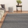 Soft Shaggy Area Rug, Washable, 63" x 90.6",  Anthracite