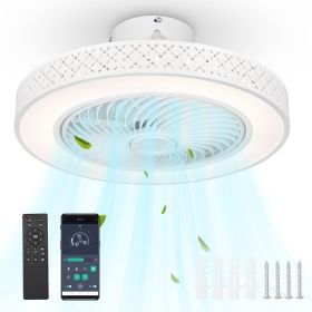 Ceiling Fan Light with Remote and Bluetooth Controls