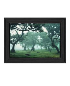 "Enchanted Forest II" Wall Art Print, 21" x 15", Black Frame