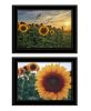 "Midwest Living Collection" Wall Art Print, 19" x 15", 2-Piece Set, Black Frame