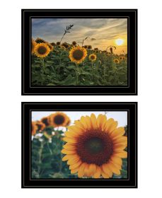 "Midwest Living Collection" Wall Art Print, 19" x 15", 2-Piece Set, Black Frame