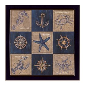 "Coastal Collage I" Wall Art Print,14" x 14", Black Frame