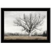 "Earth & Sky" Wall Art Print, 15" x 21", Black Frame