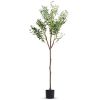 Potted Artificial Olive Tree with Lush Branches & Fruit, Black Pot, 5.9 Ft.