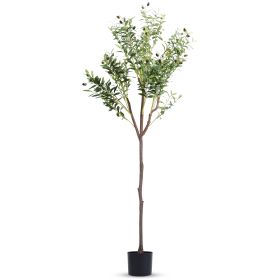 Potted Artificial Olive Tree with Lush Branches & Fruit, Black Pot, 5.9 Ft.