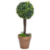 Artificial Potted Boxwood Plants, 22" Tall, 2-Piece Set