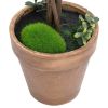 Artificial Potted Boxwood Plants, 22" Tall, 2-Piece Set