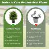 Artificial Cedar Topiary Tree with Cement Pot, Set of 2