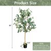 Artificial Eucalyptus Tree, 5.5 Ft.