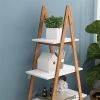 Oxford 'A' Frame Ladder Bookshelf, Bamboo