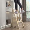 3-in-1 Transition Chair to Step Ladder