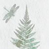 Watercolor Fern Glass Wall Art, Framed, Set of 2
