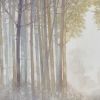 "The Forest Reflections" Canvas Wall Art, 3-Piece Set