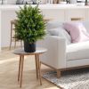 Artificial Cedar Topiary Tree with Cement Pot, Set of 2
