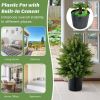 Artificial Cedar Topiary Tree with Cement Pot, Set of 2