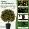 Artificial Boxwood Topiary Ball Tree with Orange Fruit, 6" x 6" x 5", Set of 2