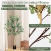 Artificial Eucalyptus Tree, 5.5 Ft.