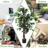 Artificial Ficus Silk Tree, 4 Ft. Tall