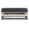 Upholstered Daybed with Trundle, Twin Size, Beige Velvet