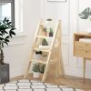 3-in-1 Transition Chair to Step Ladder