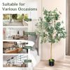 Artificial Eucalyptus Tree, 5.5 Ft.