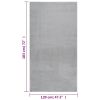 Shaggy Rug, 4 Ft, x 6 Ft.,  Polyester Gray