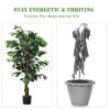 Artificial Ficus Silk Tree, 4 Ft. Tall