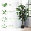Artificial Ficus Silk Tree, 4 Ft. Tall