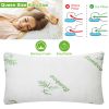 Bamboo Memory Foam Bed Pillow, Hypoallergenic W/ Washable Cover, Queen